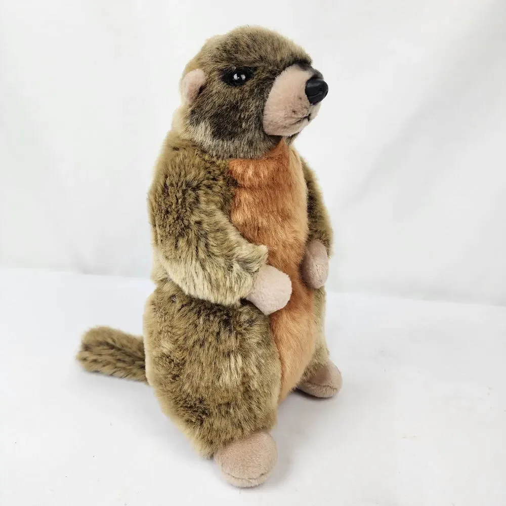 Wildlife Artists Realistic Marmot Groundhog Woodchuck 10